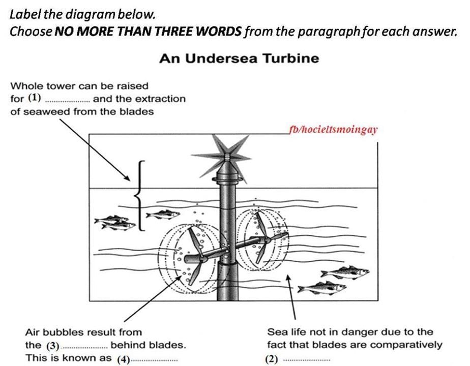 IELTS Reading diagram label completion question